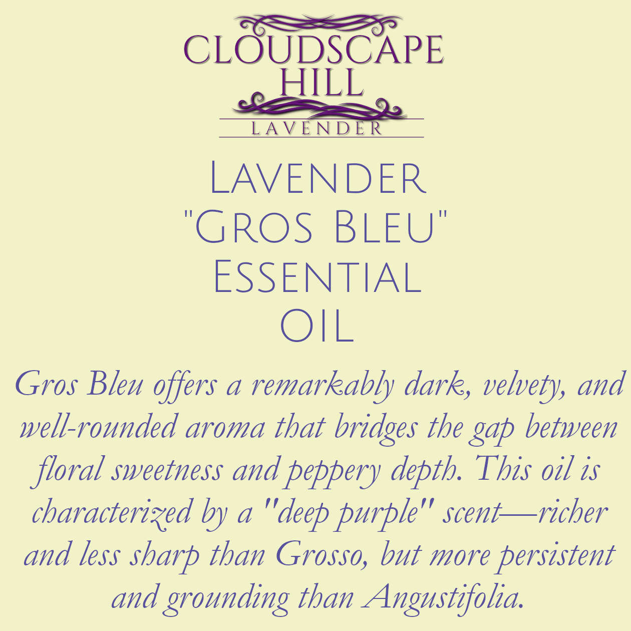 Gros Bleu Essential Oil
