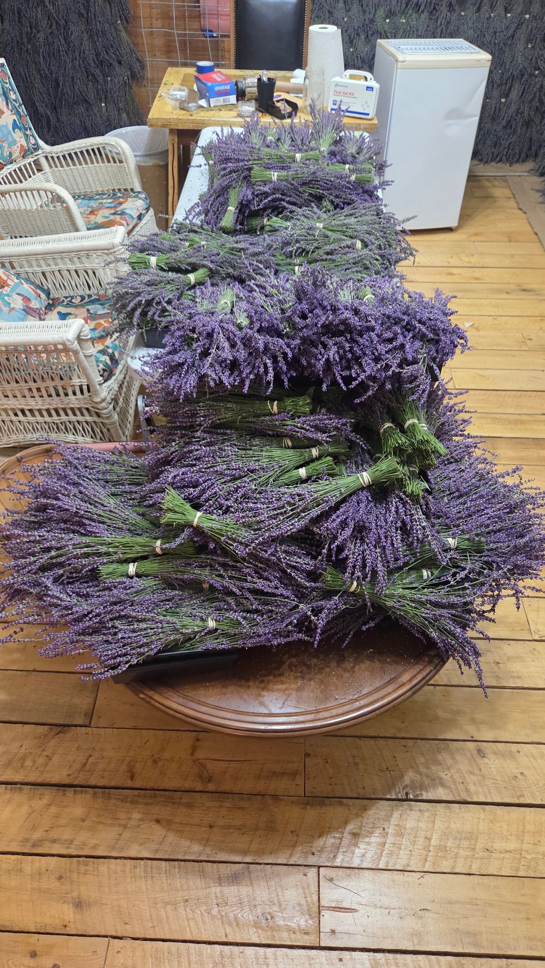 Lavender Cultivars at Cloudscape Hill