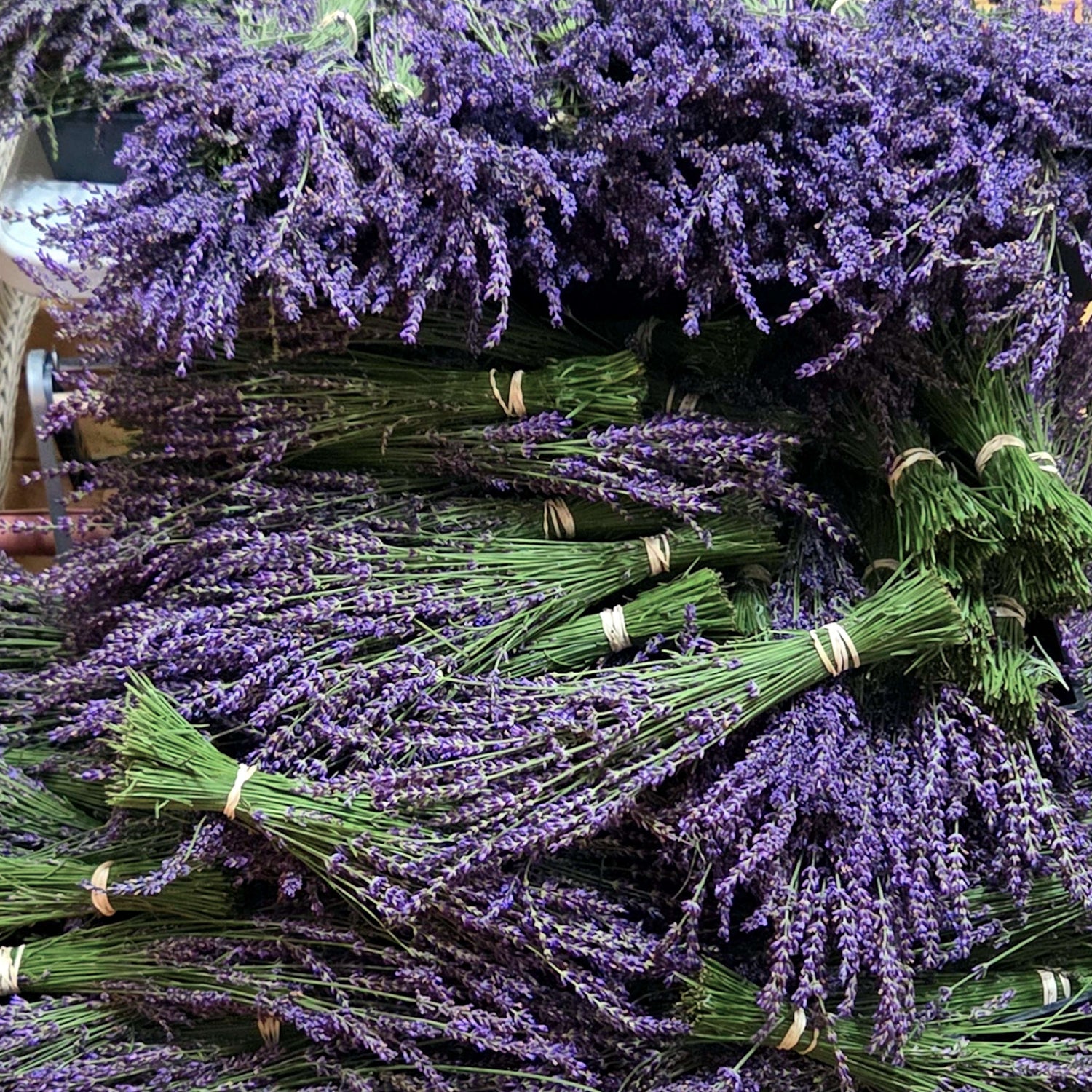 2026 Harvest Days at Cloudscape Hill