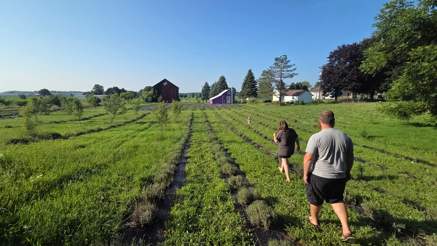 20250723_183951.jpg