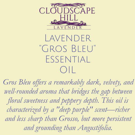 Gros Bleu Essential Oil