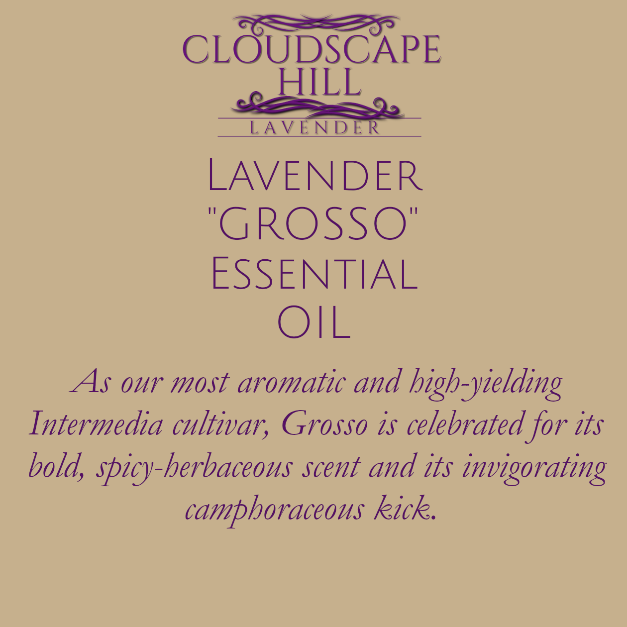 Grosso Essential Oil