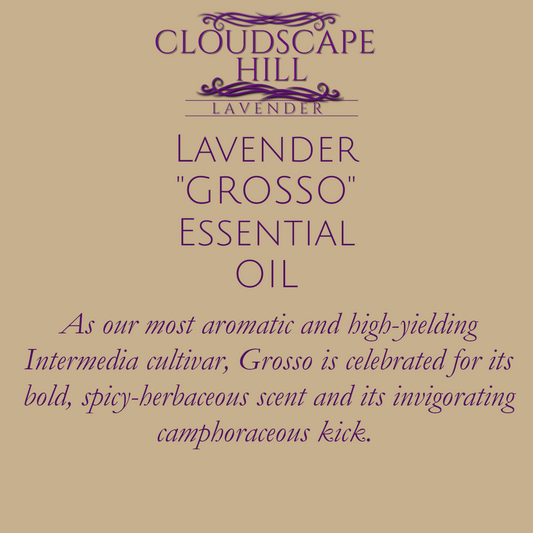 Grosso Essential Oil